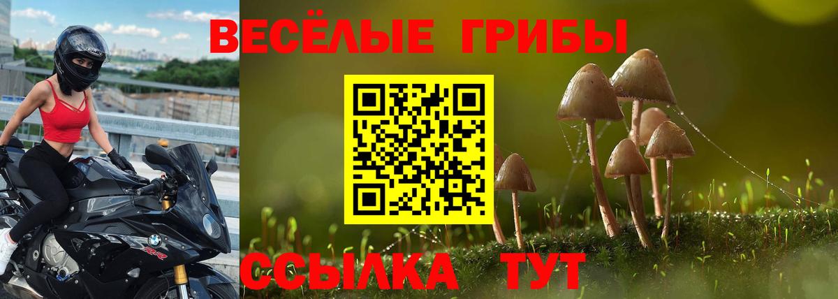 Нижневартовск  Псилоцибиновые грибы ЛСД  Вход с VPN 